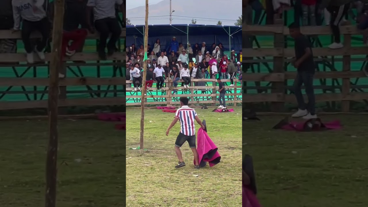 Toreros accidentes