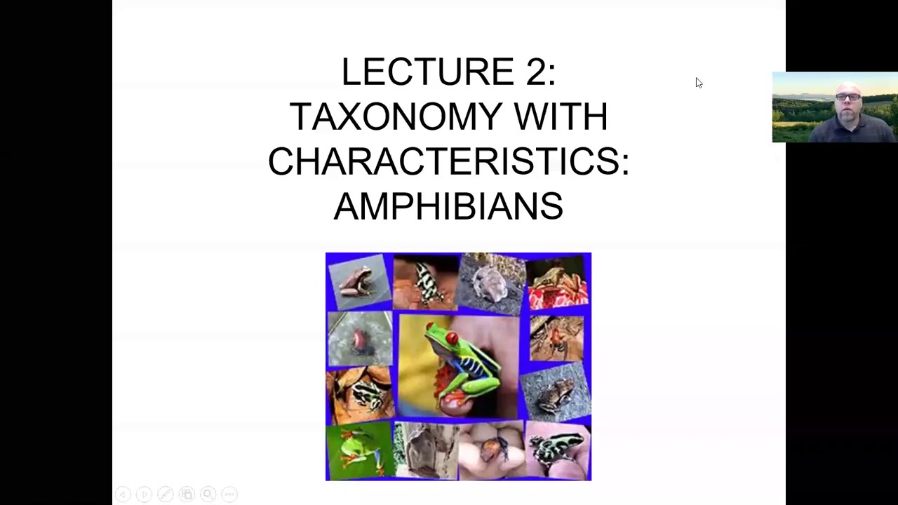 Lecture 2: Taxonomy of Extant Amphibians: Anurans