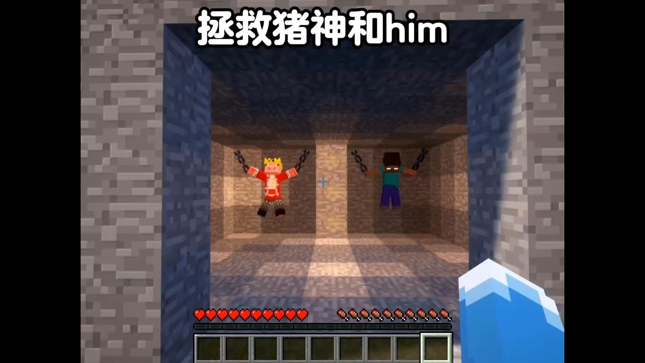 拯救猪神和him