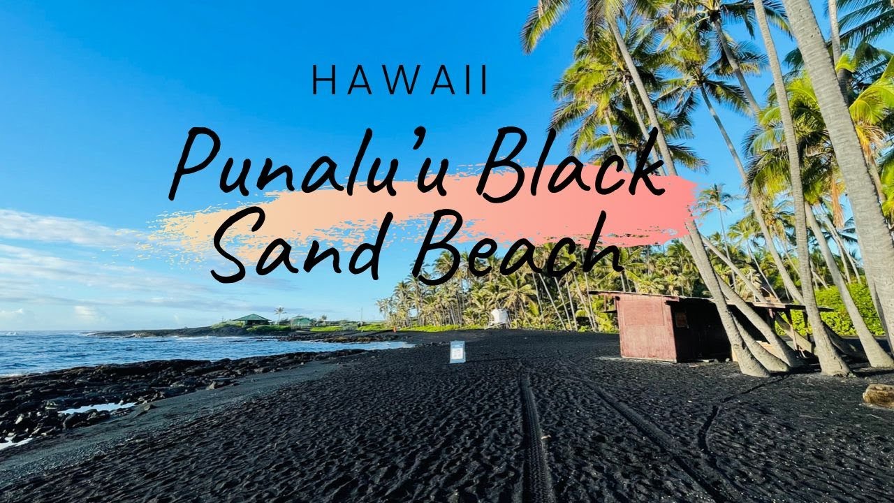 Punaluu Black Sand Beach in Big Island Hawaii - VLOG
