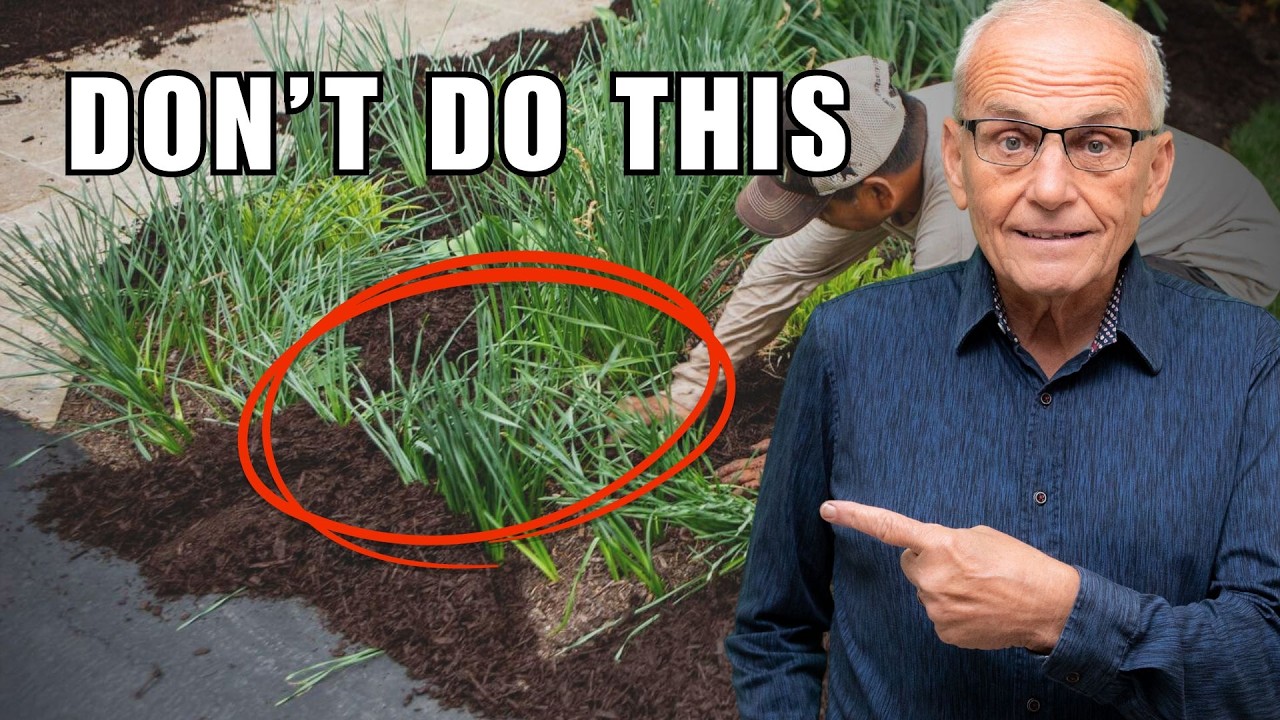 How I Would Learn Landscaping if I Had to Start Over in 2026