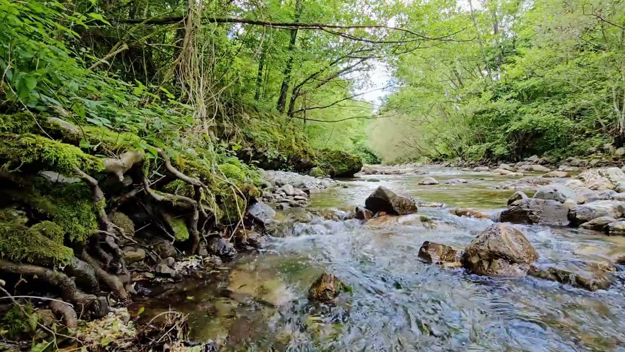 Rilassamento con il suono dell'acqua