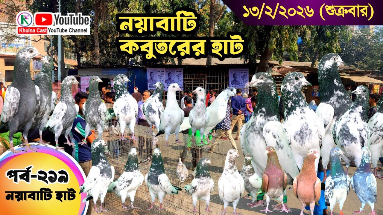 নয়াবাটি কবুতরের হাট পর্ব-২১৯।।খুলনা জেলার সবথেকে বড় কবুতরে হাট নয়াবাটী।।the Largest pigeon market 
