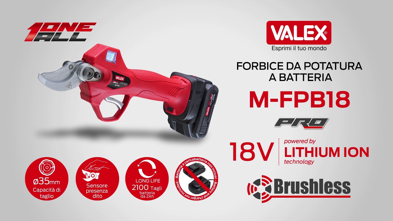 Valex | Forbice Potatura M FPB18