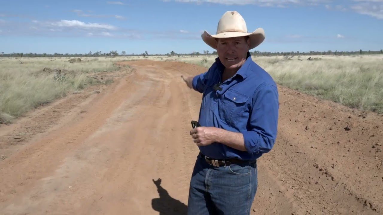 Gully restoration in Central QLD
