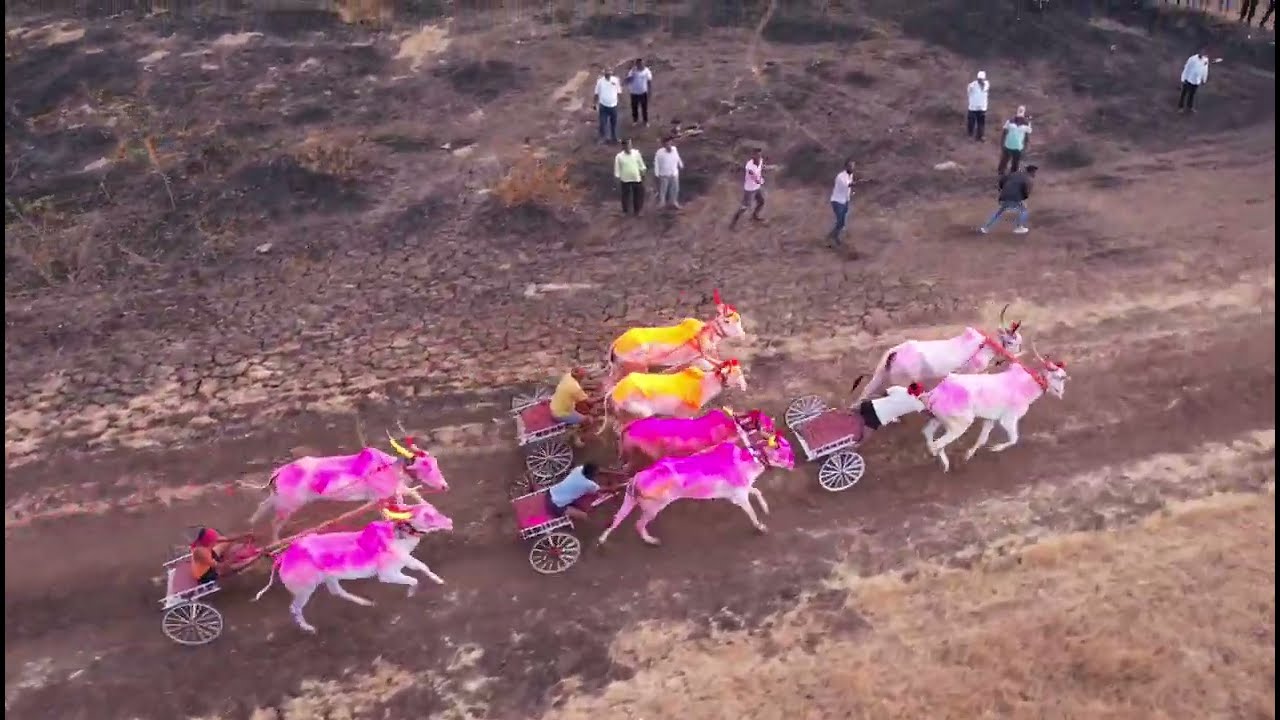 बेडग मैदान 1 लाख रुपये जनरल अ गट बैलगाडी शर्यत जंयत केसरी 🥇हेलिकॉप्टर बैज्या सांगोला राजा