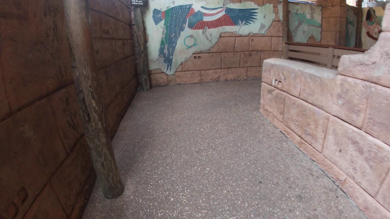 Montu Queue Area Busch Gardens Tampa Bay