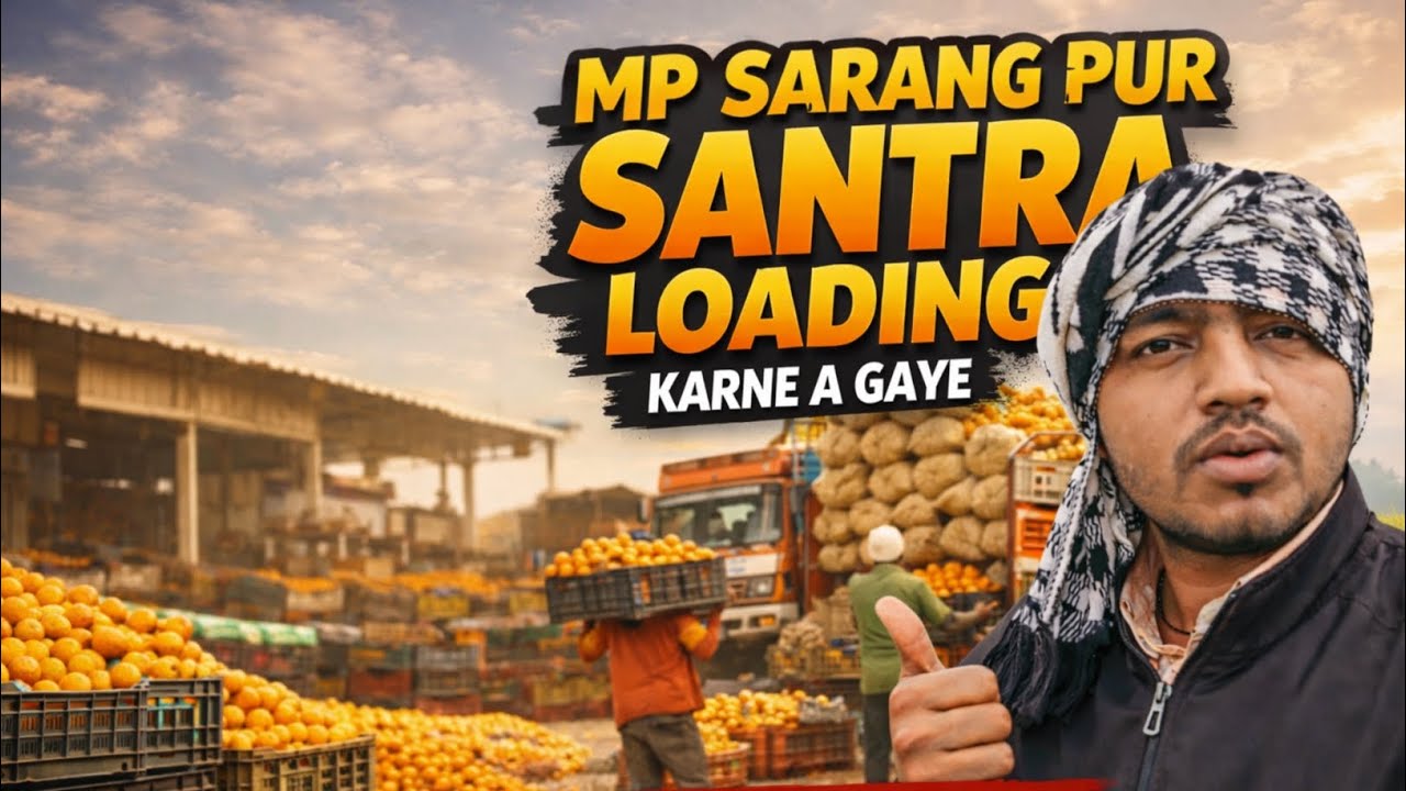 संतरा लोडिंग करने आ गए सारंग पुर।।