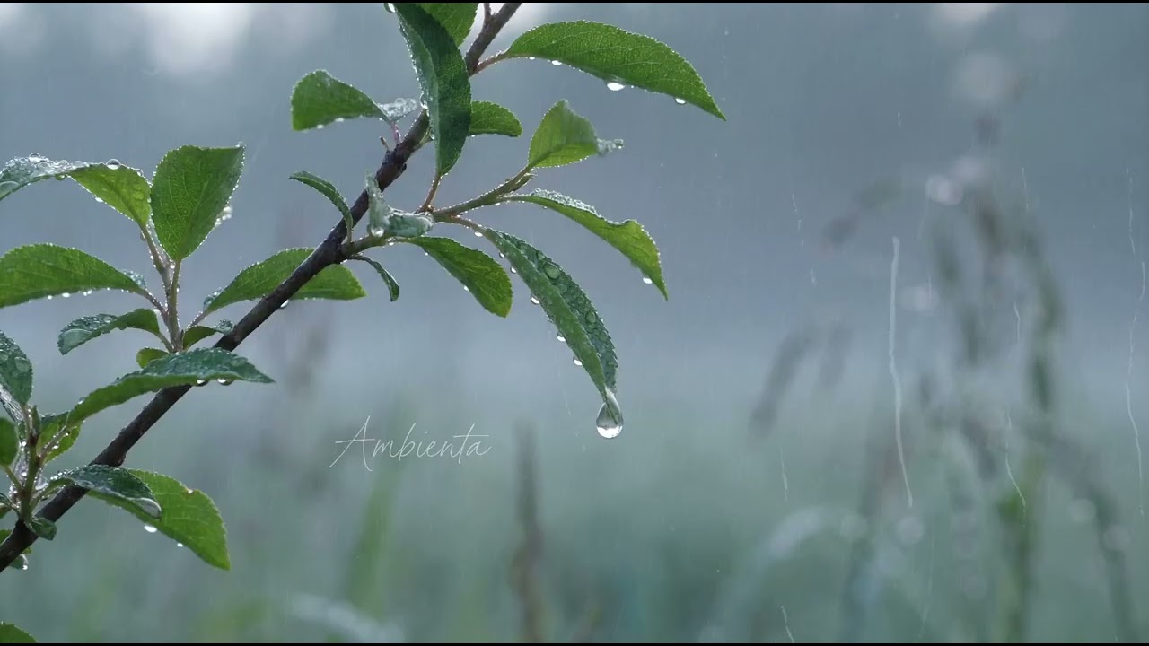 Piano Music To Enhance Your Creativity And Productivity Flow | Ambienta