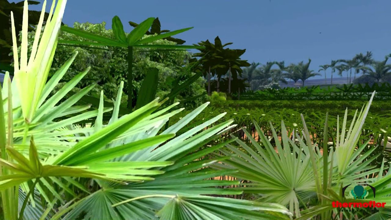 Thermoflor Botanical Garden Dubai