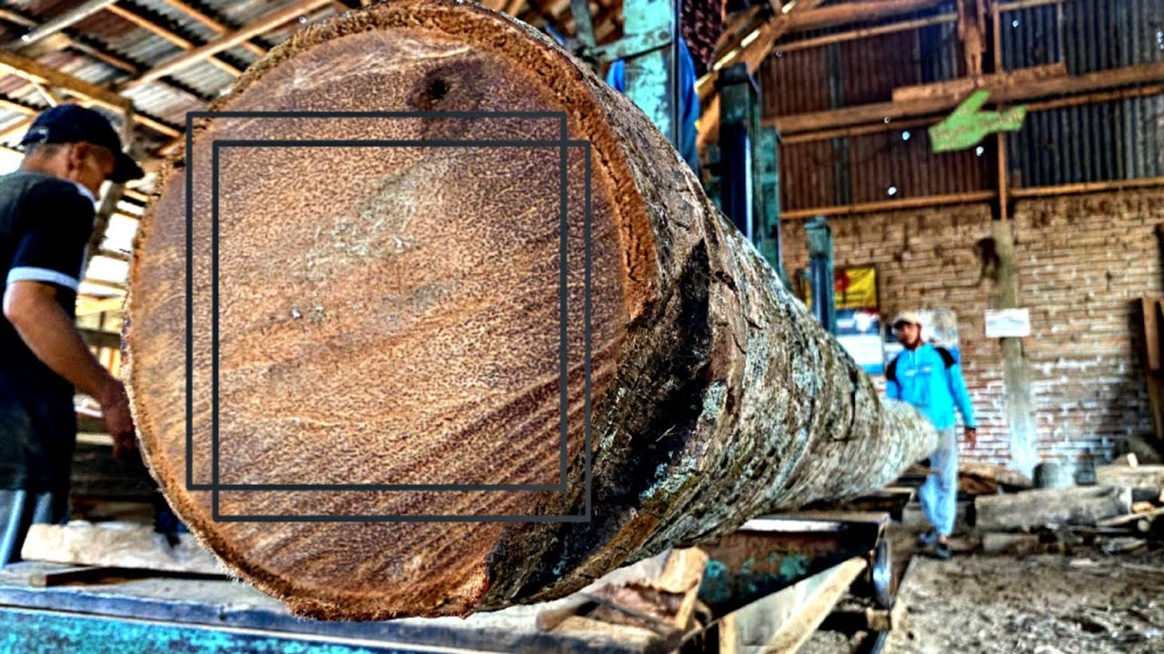 Old Coconut Wood: The Secret to Sawing Beautiful and Durable Lumber That Lasts a Lifetime