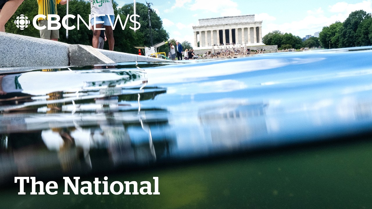 Days after Trump's 'fantastic' fixes, iconic D.C. reflecting pool stinks, is peeling