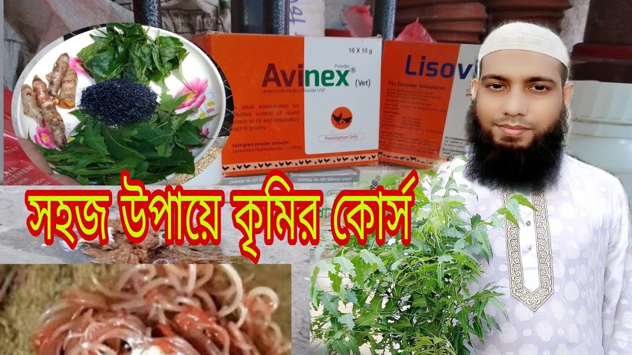 #vlog 80 কবুতরের প্রাকৃতিক চিকিৎসায় নিমপাতা।কবুতরের কৃমি কোর্স সহজ উপয়। Pigeon deworming treatment.