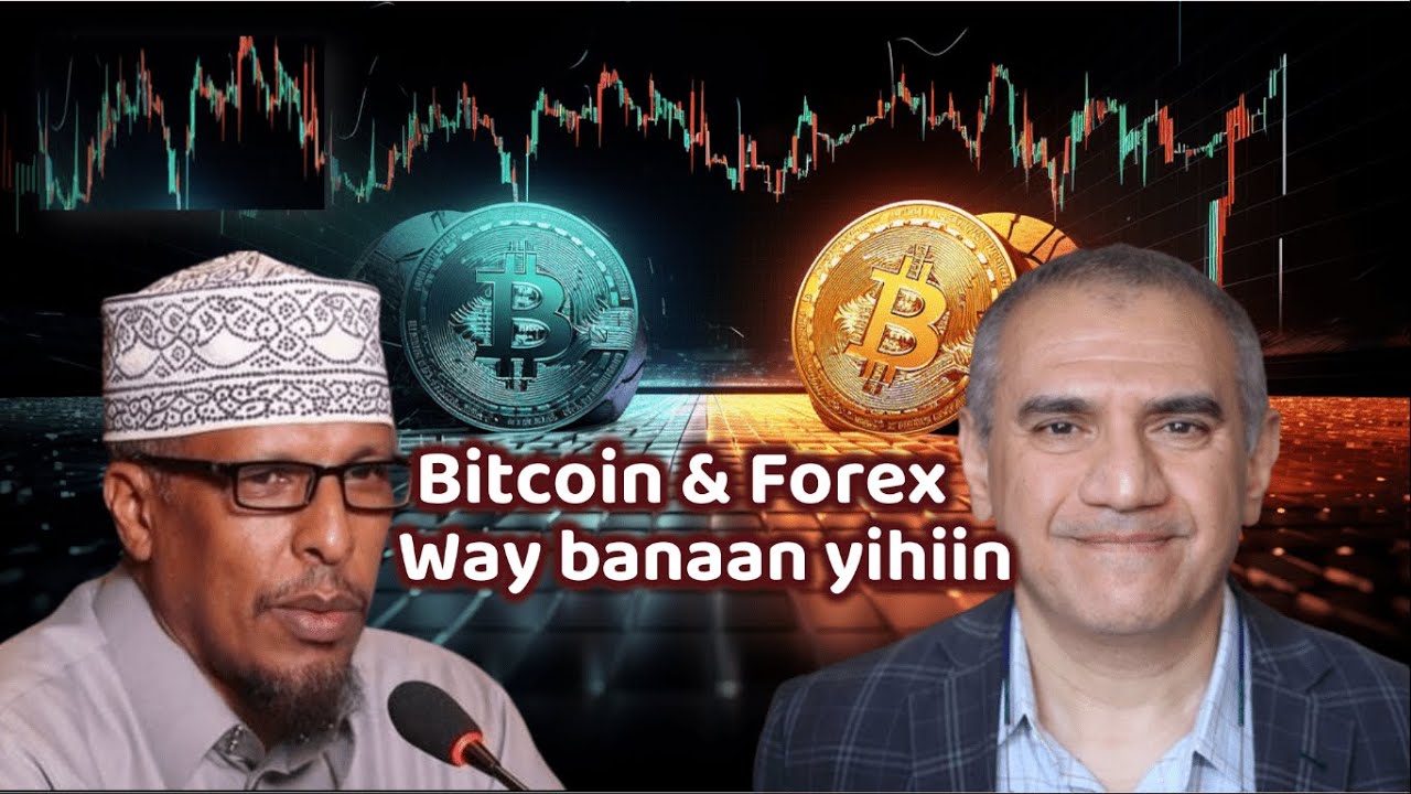 Forex & Bitcoin Way Banaan Yihiin: Sh Shibli & Prof Fadel