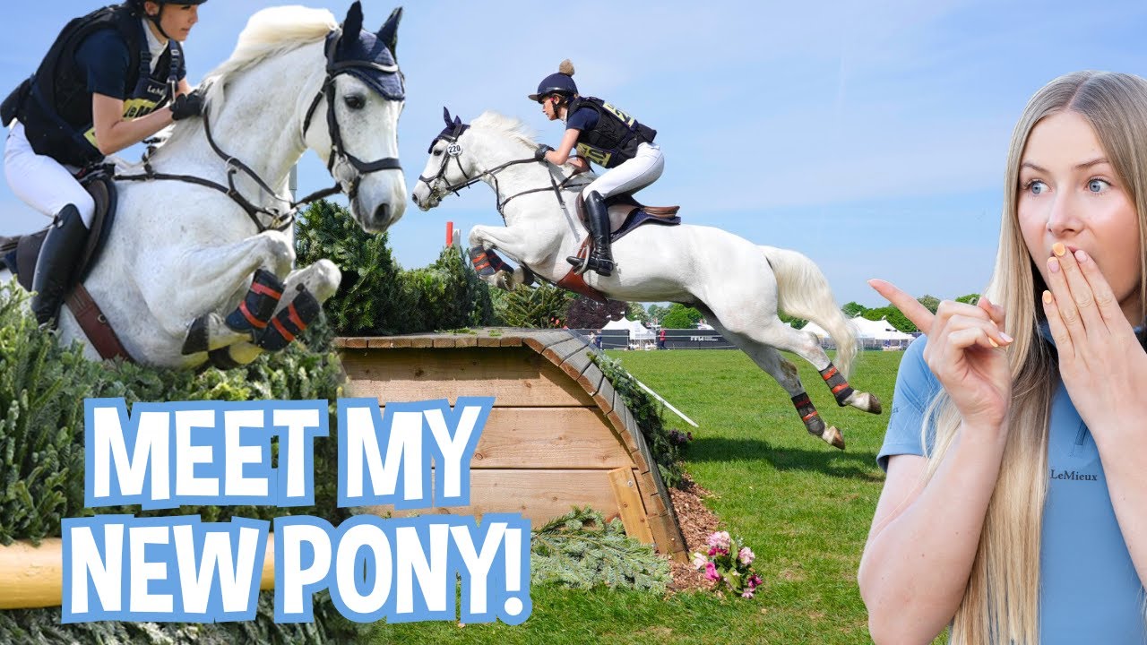 We've bought a new pony! * HUGE shock! *