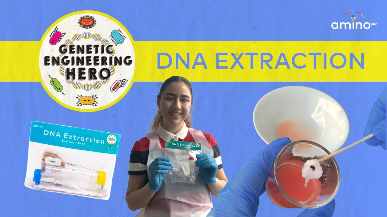 Zero to Genetic Engineering Hero: DNA Extraction