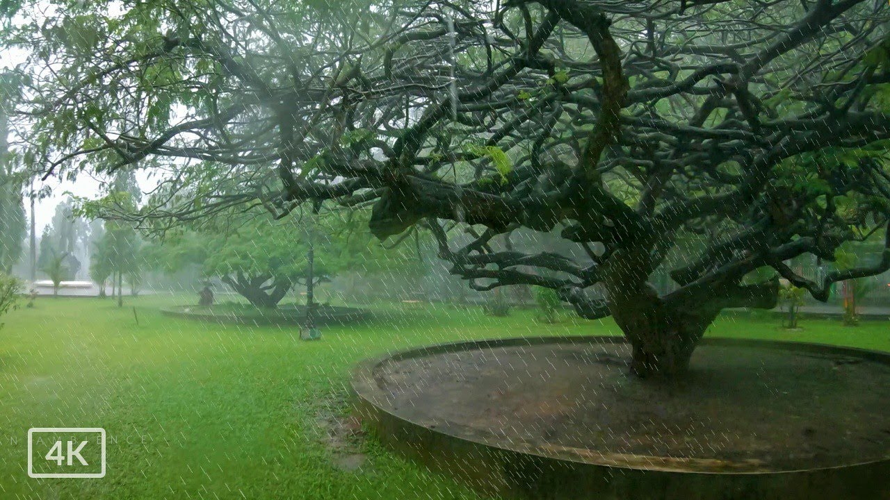 Walking in a Heavy Rainy day in April month in Kerala | Kochi | Relaxing rain and thunder sounds