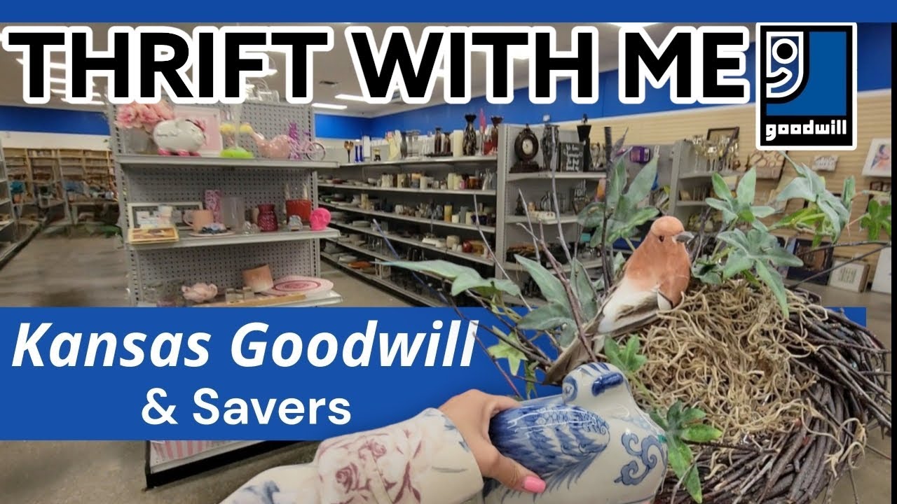 Кто-нибудь, заберите их! Поход по магазинам секонд-хенда Goodwill и Savers со мной! Винтажный вес...