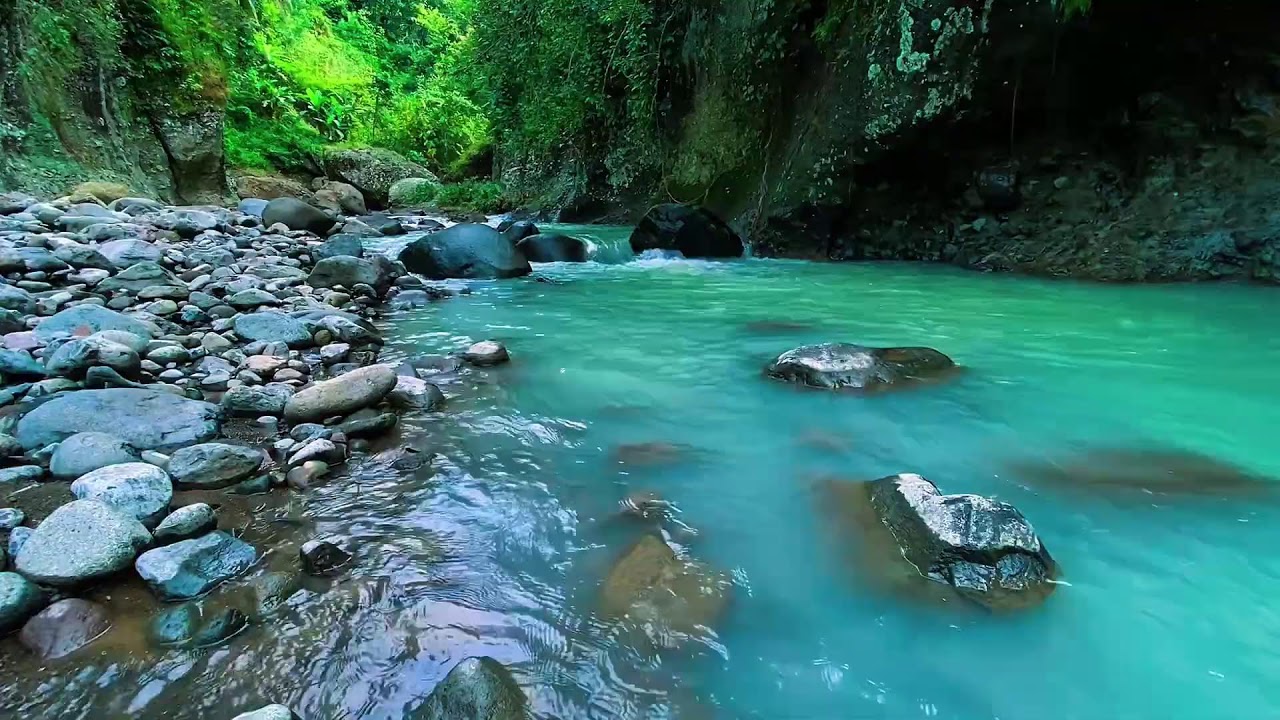 Flowing Stream Water Sounds, Mountain Forest River, Sleeping