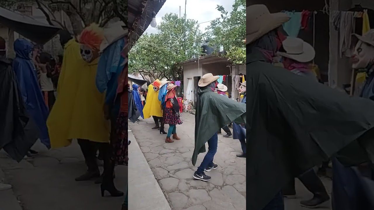 Carnaval 2024 - Nanayatla Xochiatipan Hgo.