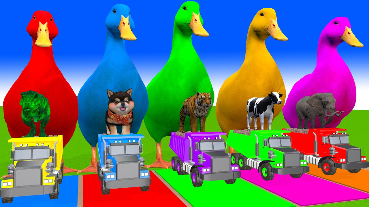 Long Slide Game With Cow Elephant Gorilla Hippopotamus Tiger 3d Animal Game Funny 3d Animals