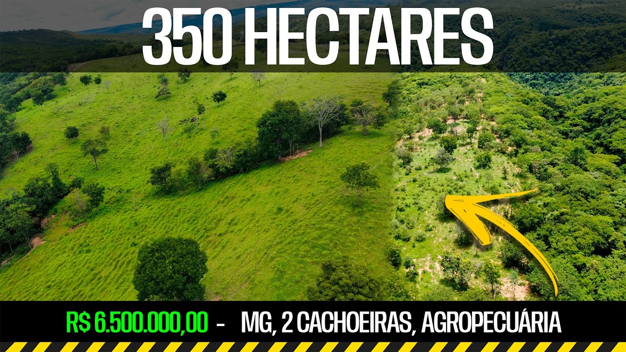 Oportunidade! Fazenda 350 hectares em MG, 2 cachoeiras, agropecuária. R$6.500.000,00