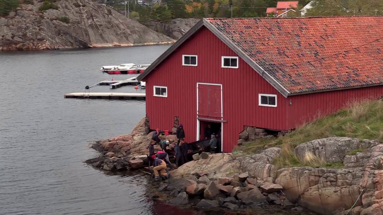 H&oslash;stlig elsykkeltur