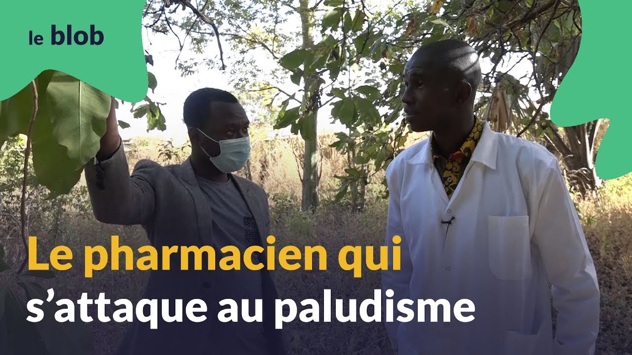 Le pharmacien qui s'attaque au paludisme | Les Haut-Parleurs