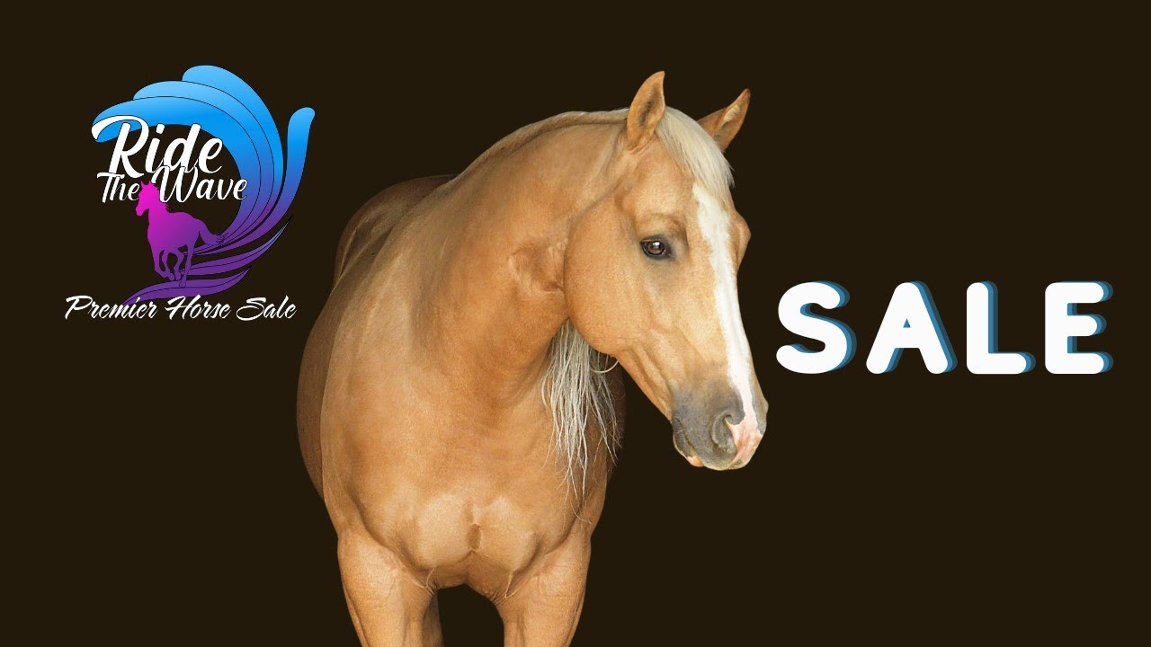 2023 SALE LIVE ~ Ride the Wave Premier Horse Sale