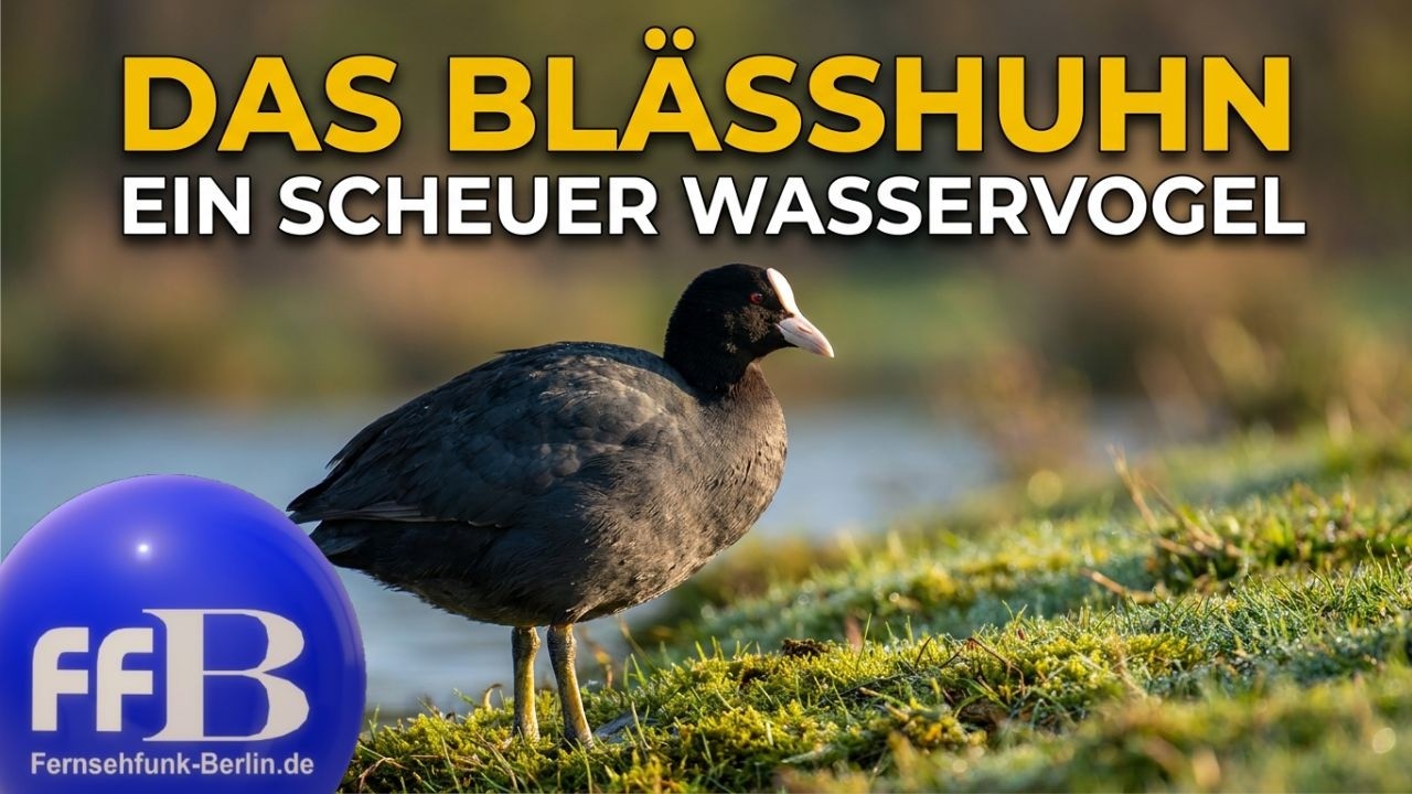 Natur pur: 