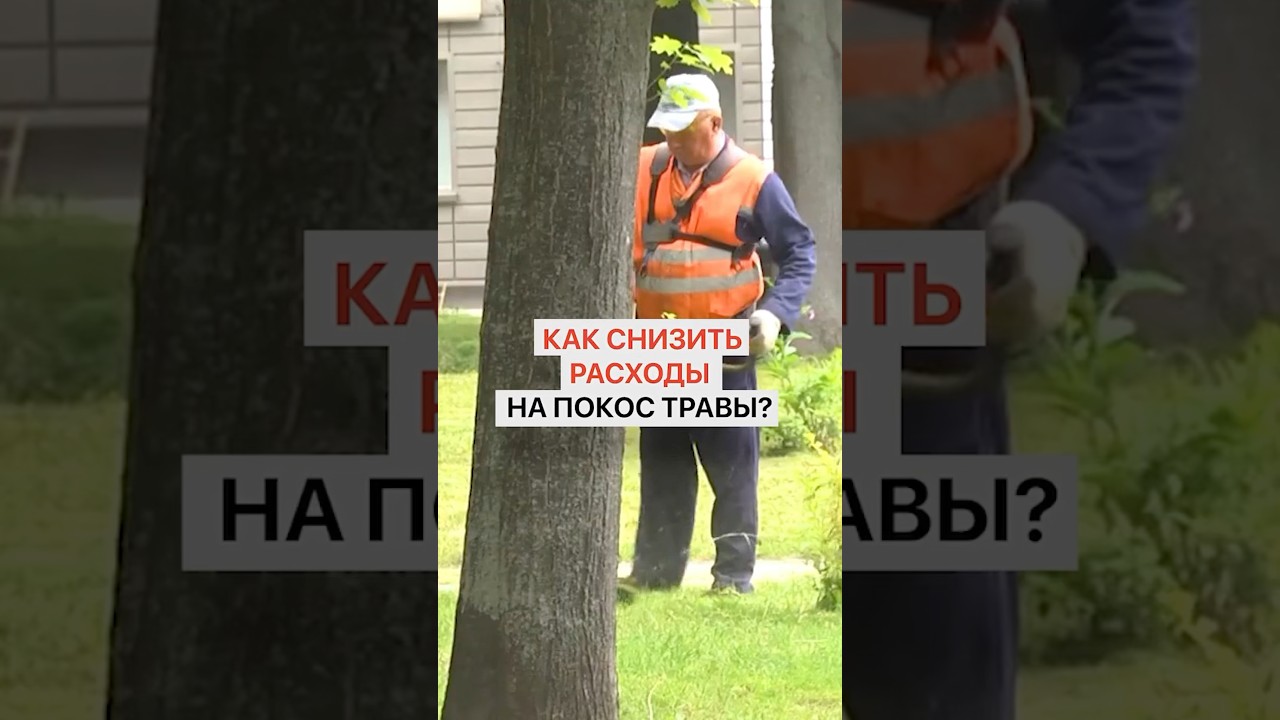 Как снизить расходы на покос травы?