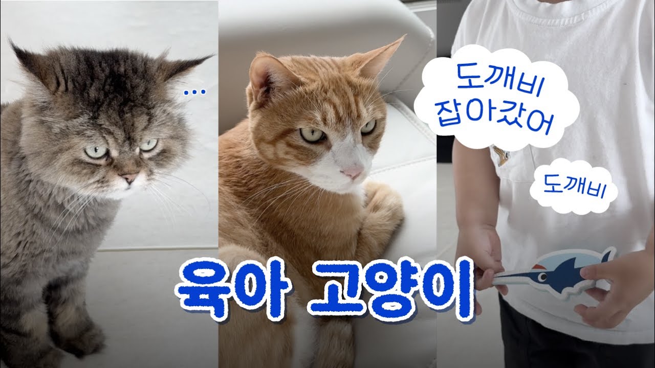 누가 누굴 돌보는 걸까🐈💭 30개월 아이와 함께 사는 고양이의 육아일지📝 희동·길동이네 ｢ 밥은 멍고 다니냥 ｣