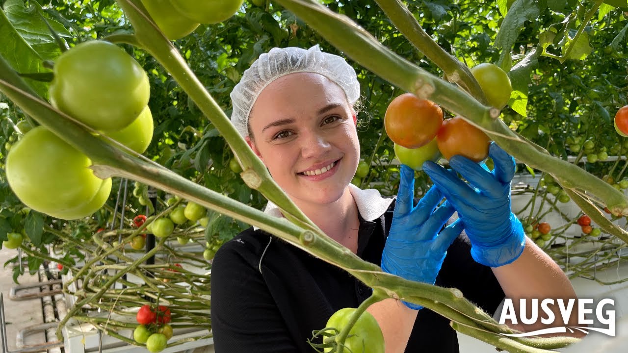 Horticulture – grow your career: Entomologist / IPM (Olivia De La Mare, Green Camel)