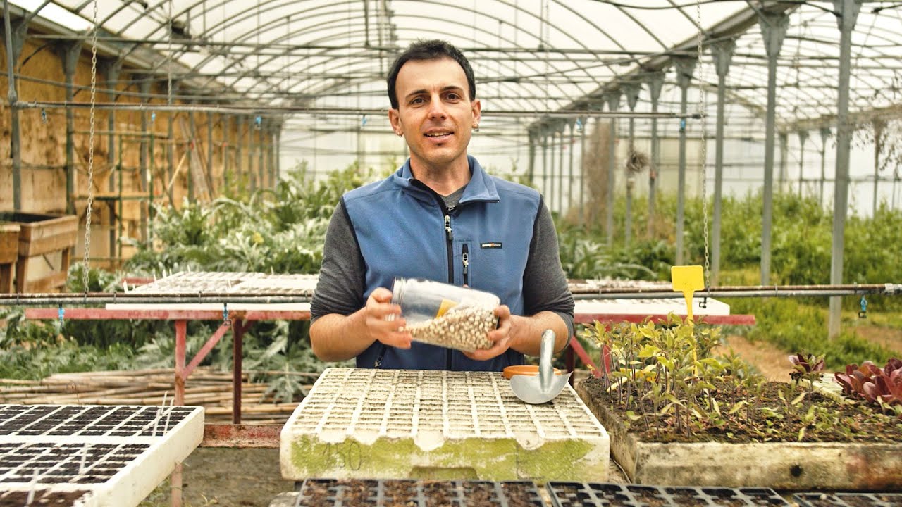 El planter // Marc Casabosch (E20 DIY Arrels)