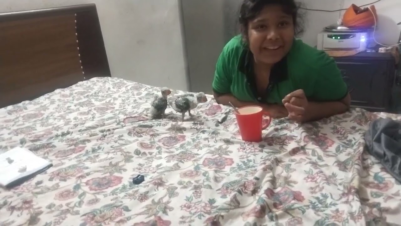 #parrot ko khilate hue khana fir masti time 