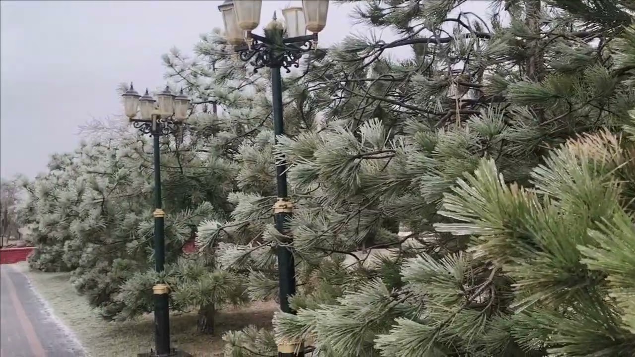 Керчь  Прогулка 02 02 26