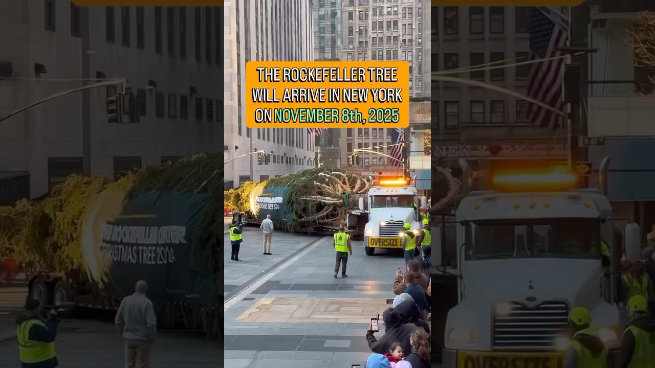 Trust me: this is one of the most memorable events of the Christmas in New York