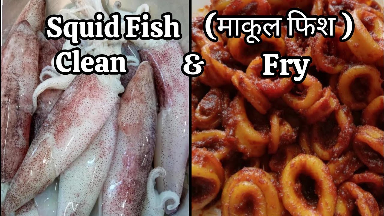How To Clean Squid | माकूल फिश साफ करने का तरीका | Cutting big squid | Calamari Fish easy clean Fry