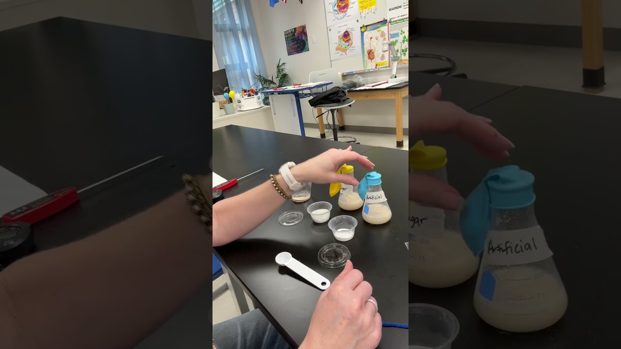 Yeast Fermentation Lab