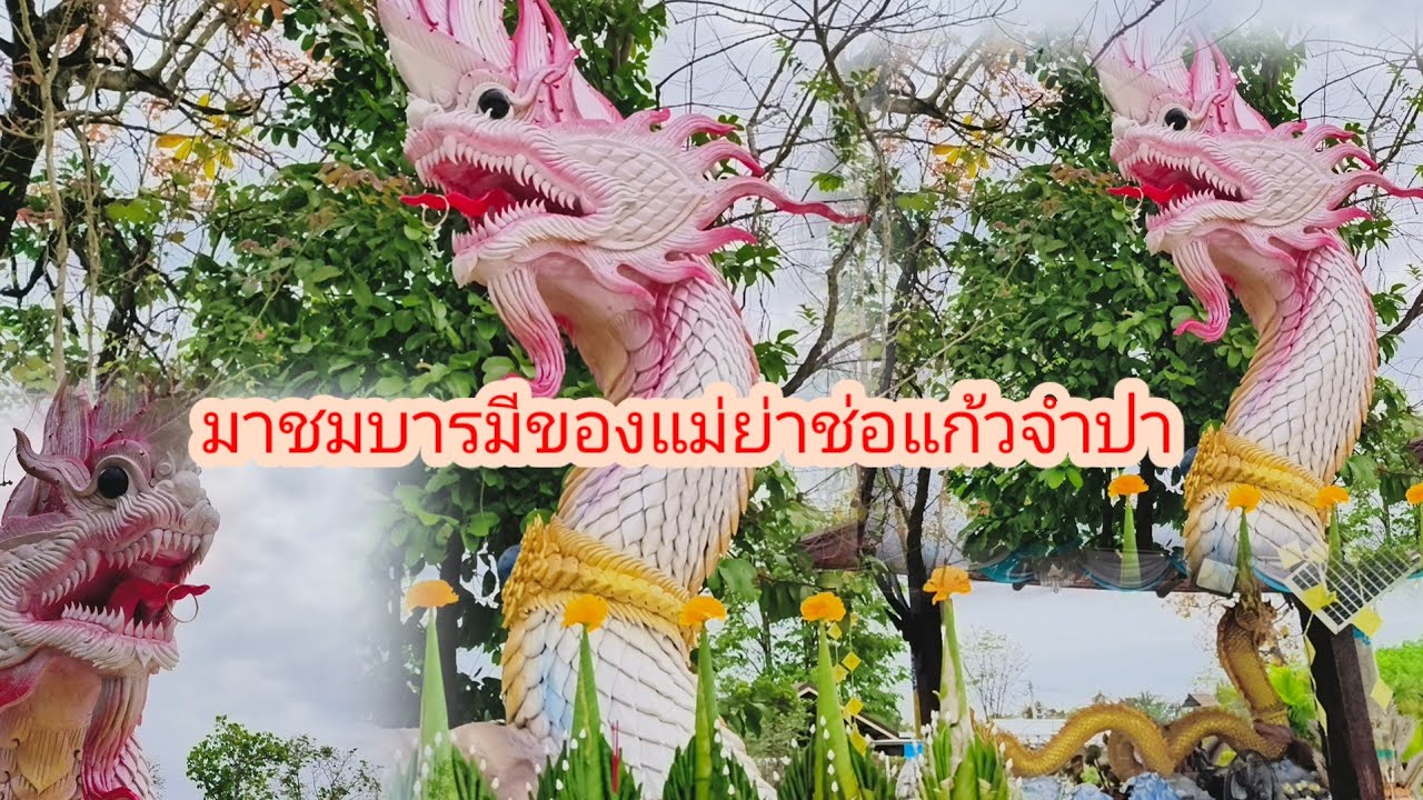 ฟื้นฟูสวนหย่อมข้างแม่ย่าช่อแก้วจำปาดง#ป้าแต๋นชาเเนล 