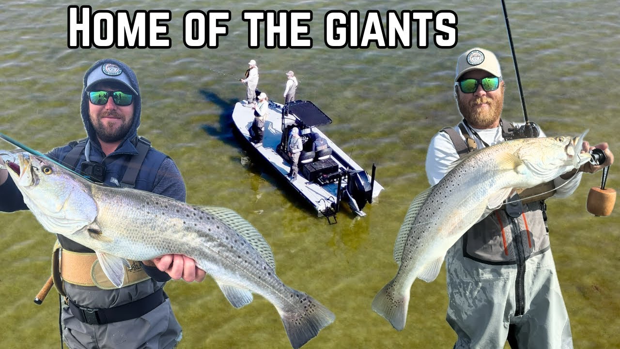 Wade Fishing The Flats For TROPHY Speckled Trout!