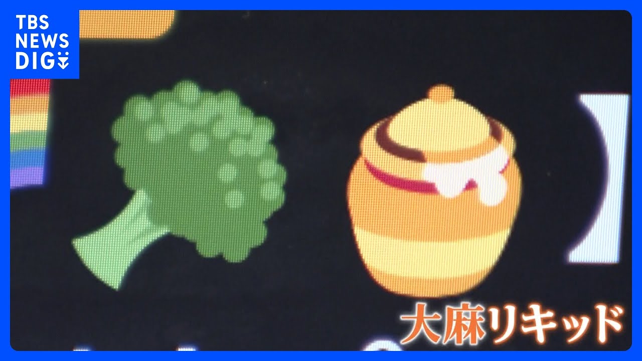 「ブロッコリー」「ハチミツ」実は大麻取り引き　SNS通じた大麻売買「若者にまん延」&ldquo;絵文字&rdquo;使用で心理的ハードル下げる狙いも｜TBS&nbsp;NEWS&nbsp;DIG