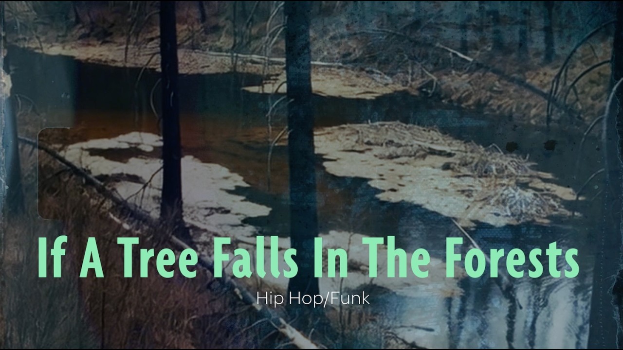 If A Tree Falls In The Forests (Hip Hop/Funk)