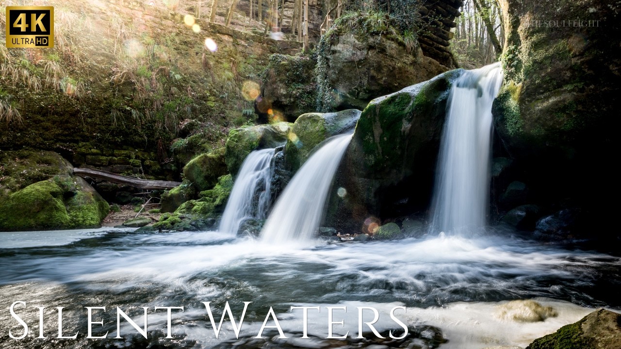 Silent Waters of Mullerthal | A Cinematic Nature Film