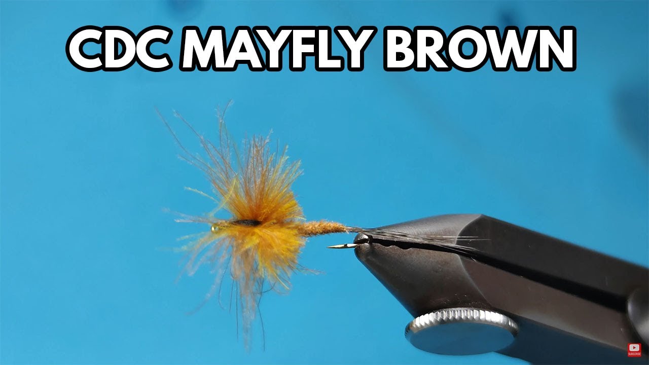 CDC Mayfly brown