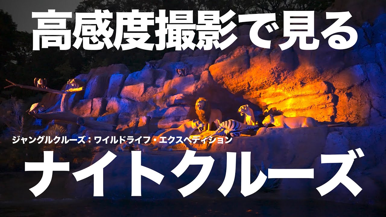 夜のジャングル探検 ナイトクルーズ  :  ジャングルクルーズ  /  東京ディズニーランド