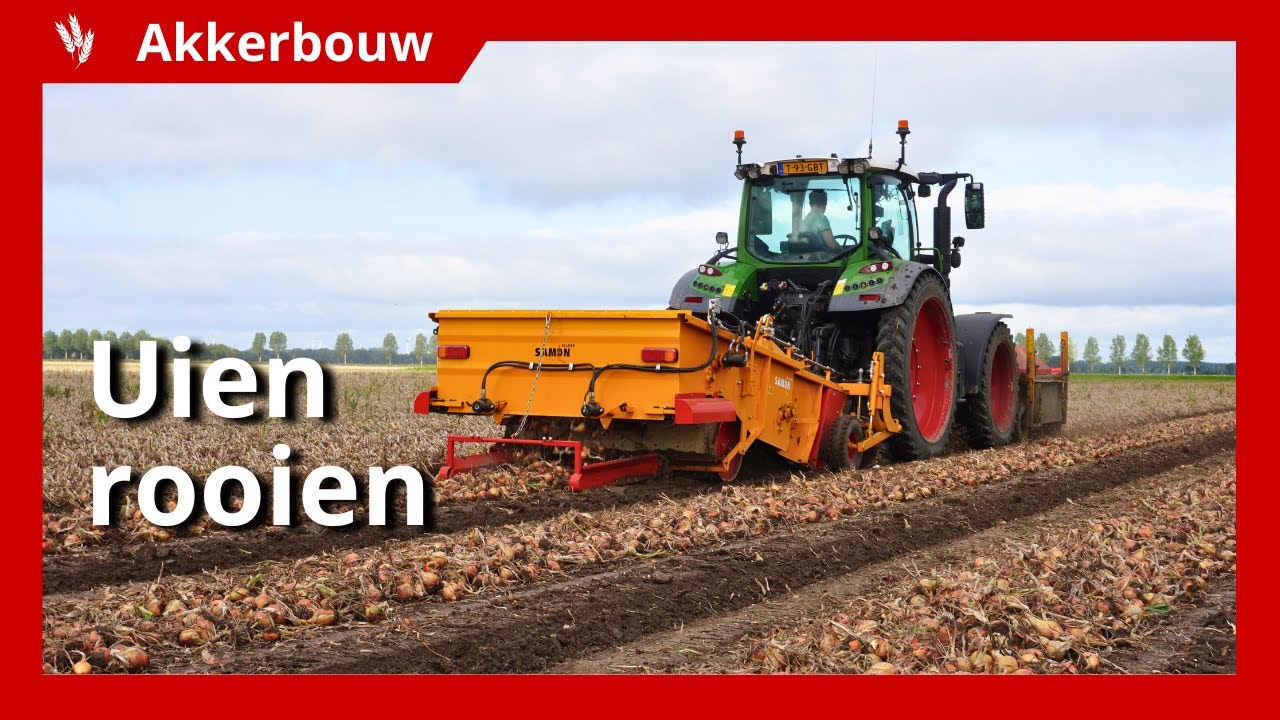 8 hectare uien rooien