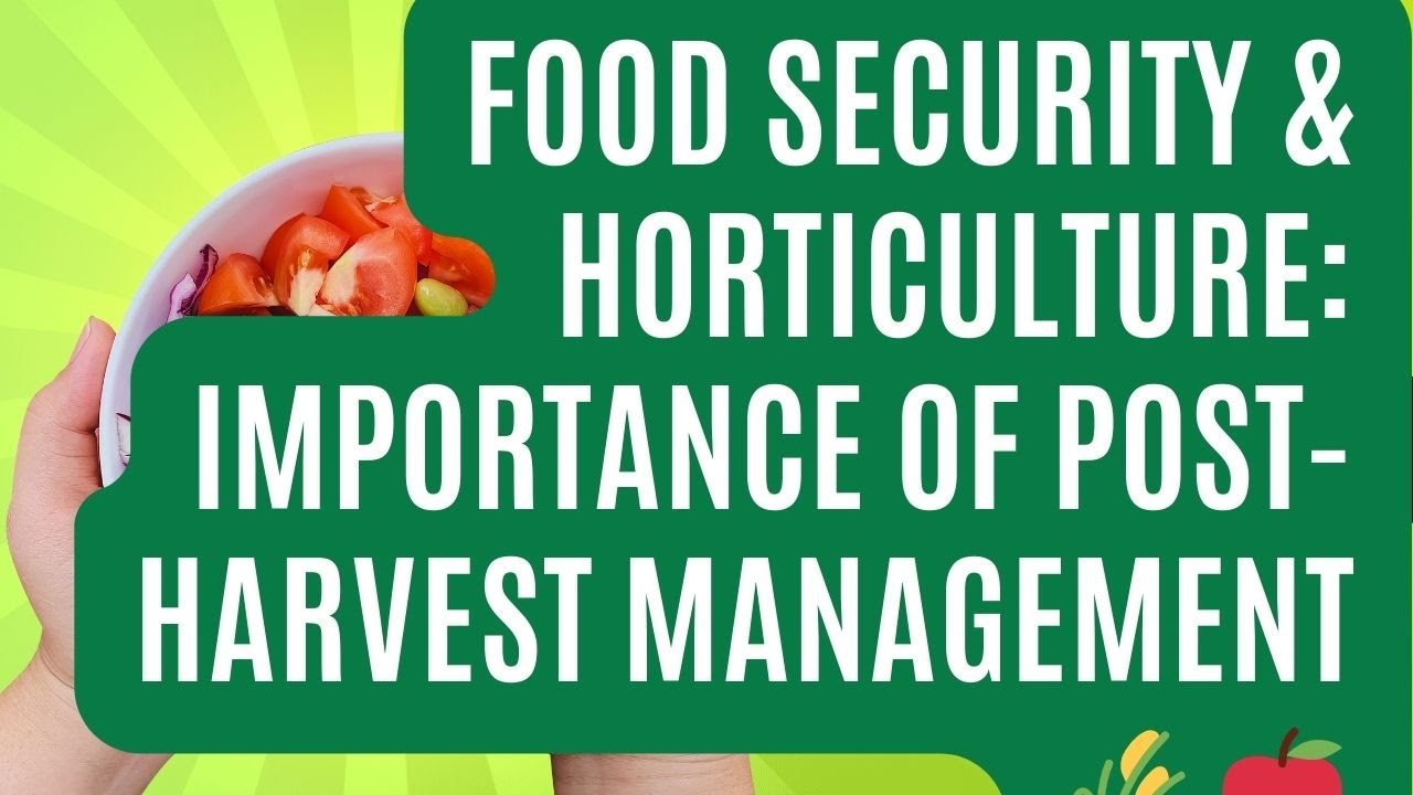 Food Security & Horticulture: Importance of Post-Harvest Management 🌾🍎