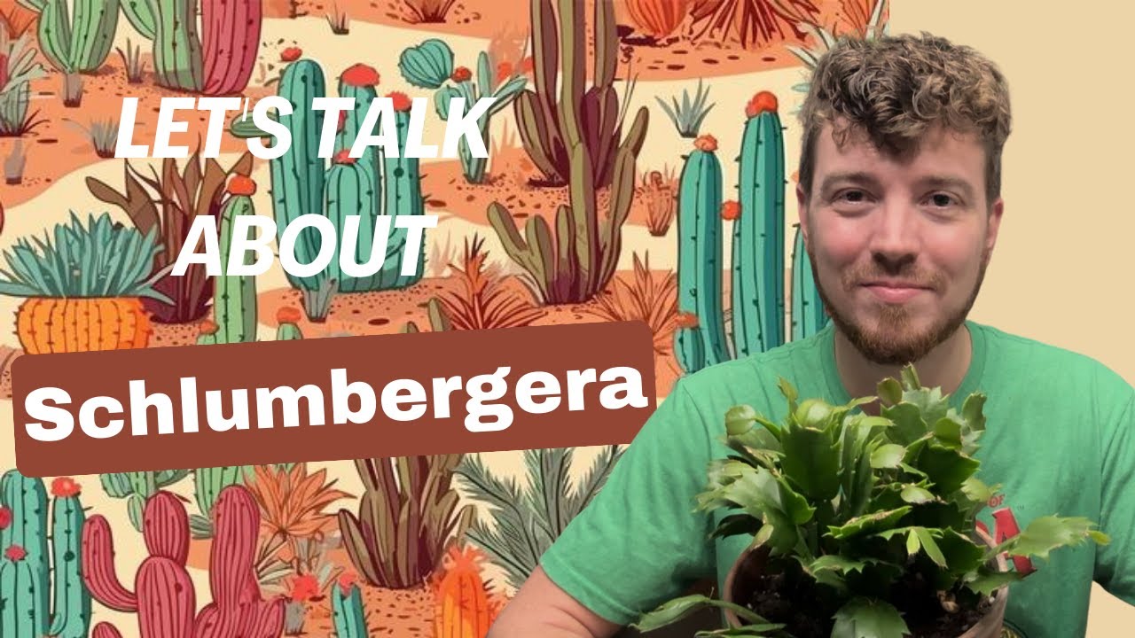 Let's Talk about Schlumbergera