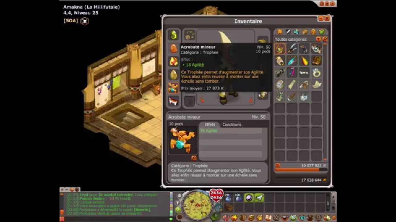 [DOFUS] incarnation bandit archer lvl 80 | HD